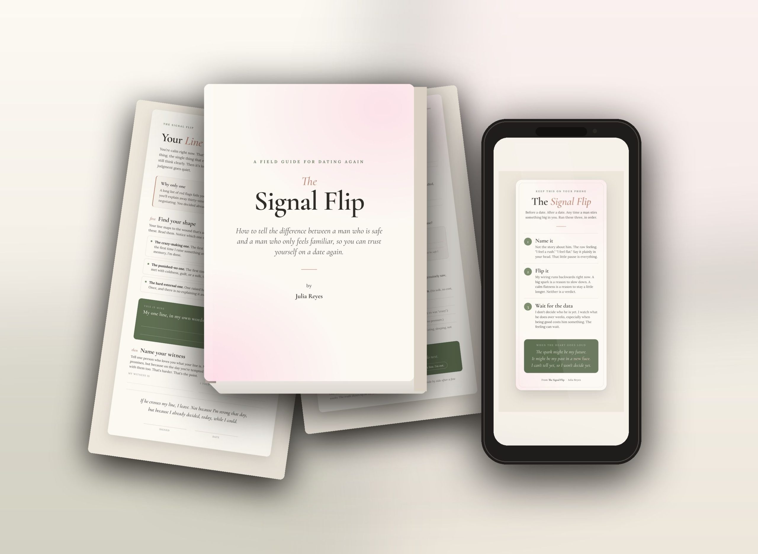 The Signal Flip guide and worksheets